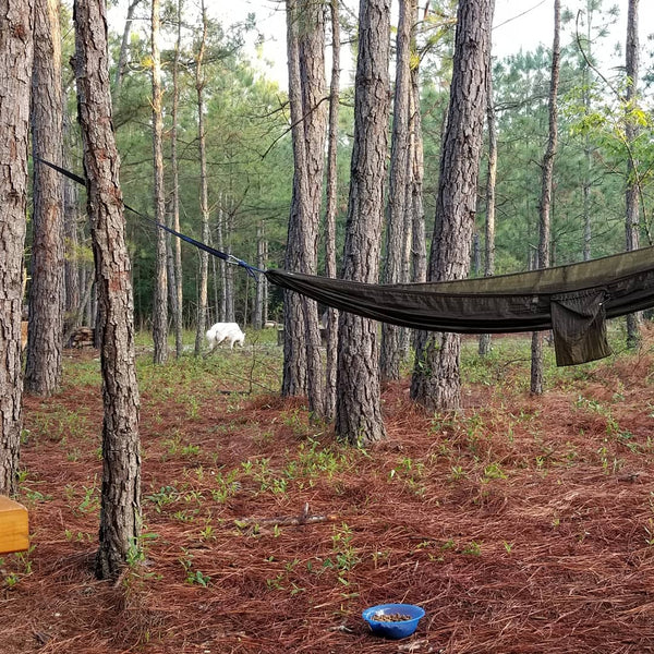 Generator and Air Conditioner Install, Rainwater Setup, Trail Security Camera and Steel Target Update.