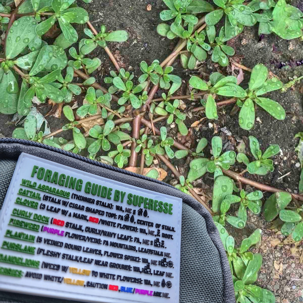 Storage Pocket Patch: 
