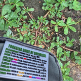 Storage Pocket Patch:  "Foraging Guide", a Plants and Edibles Quick Identification Reference