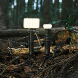 FLASH-1 LED Light