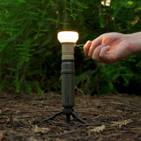 LAMP-1 Lantern Light