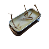 EDC Pocket Tin: