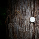 Supplies - Reflective Trail Tacks