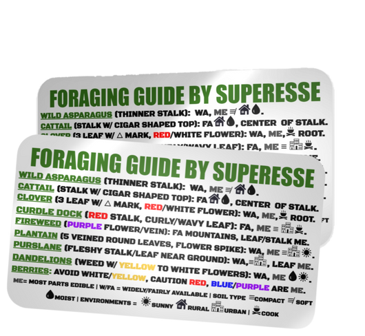 Foraging Guide Decal - Plants and Edibles Quick Identification ...