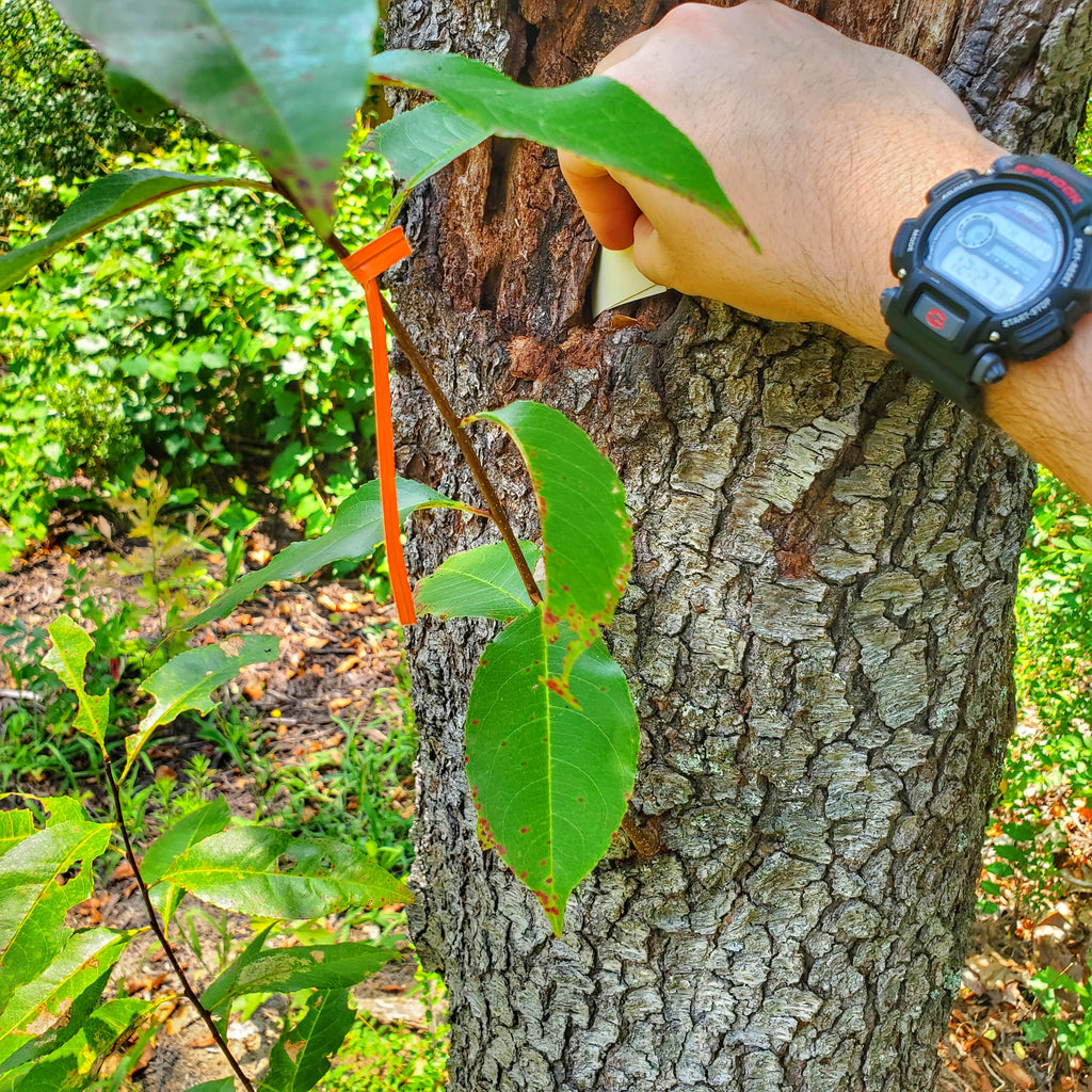 Egress Patch Kit - recon, escape, and evasion supply package ...