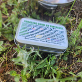 Foraging Guide Decal - Plants and Edibles Quick Identification Reference